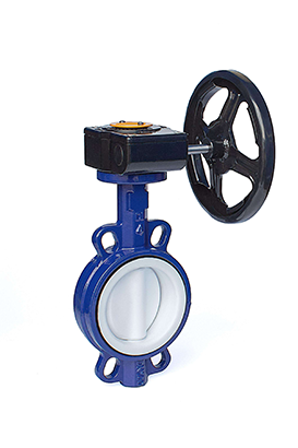 Product 11874 — PVPeW 2026
