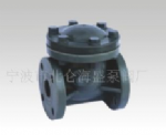 swing check valve — PVPeW 2026