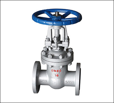 Carbon steel gate valve — PVPeW 2026
