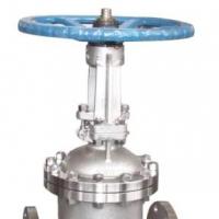 Stainless steel gate valve — PVPeW 2026