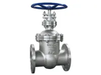 gate valve — PVPeW 2026