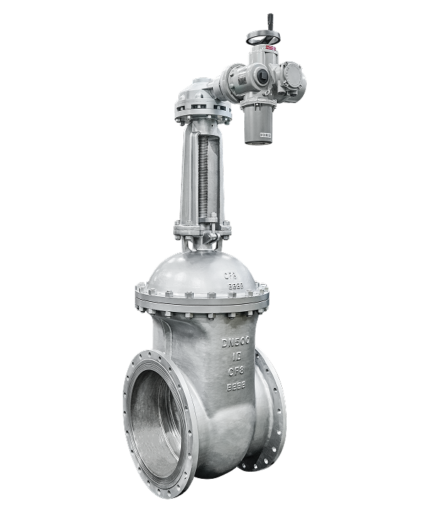 Stainless Steel Gate Valve — PVPeW 2026