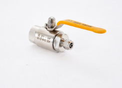 Capsule ball valve — PVPeW 2026