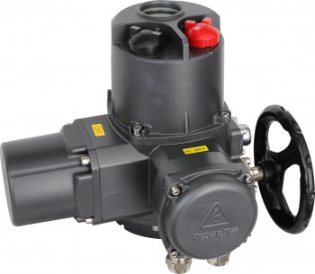 Product 12006 — PVPeW 2026
