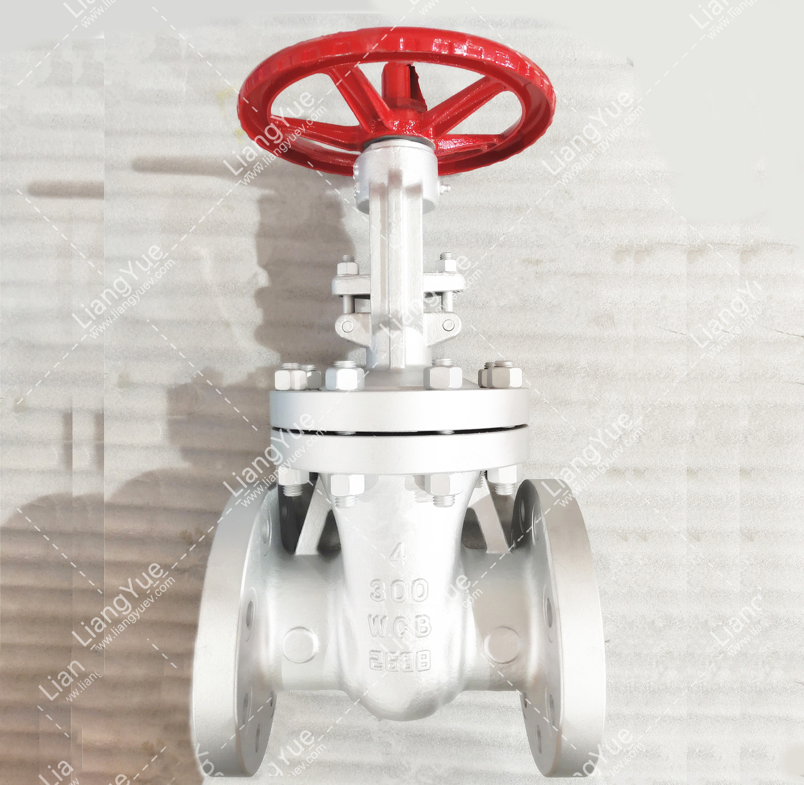 Mettler standard gate valve Class 300 — PVPeW 2026