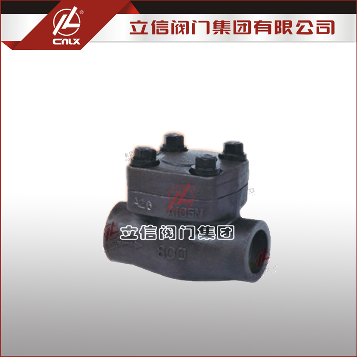 Forged Steel Female Thread Check Valve — PVPeW 2026