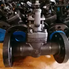 Professional Forged Steel Welded Flanged Gate Valve — PVPeW 2026