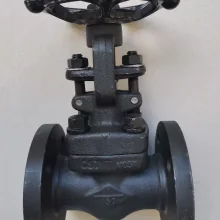 Professional Forged Steel Gate Valve — PVPeW 2026