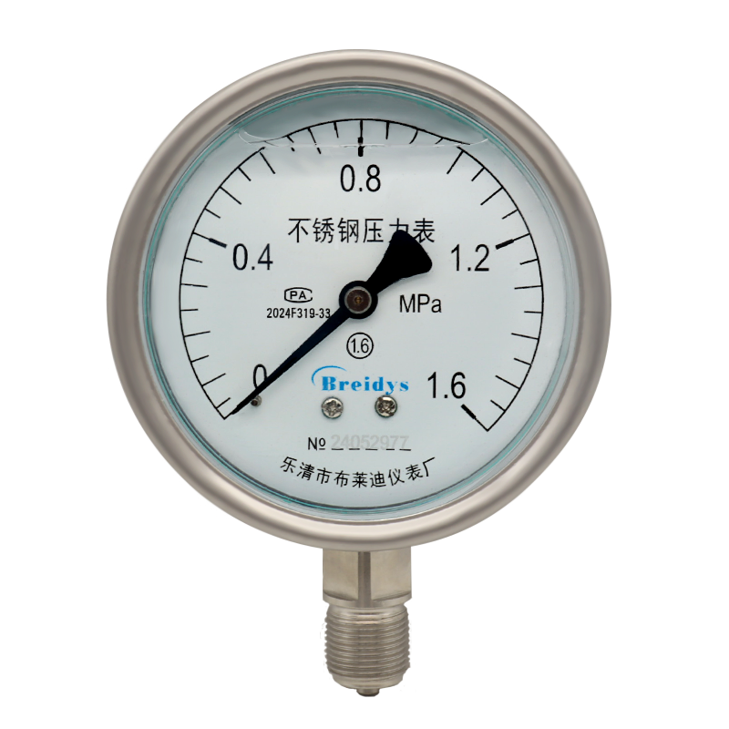 stainless steel pressure gauge — PVPeW 2026