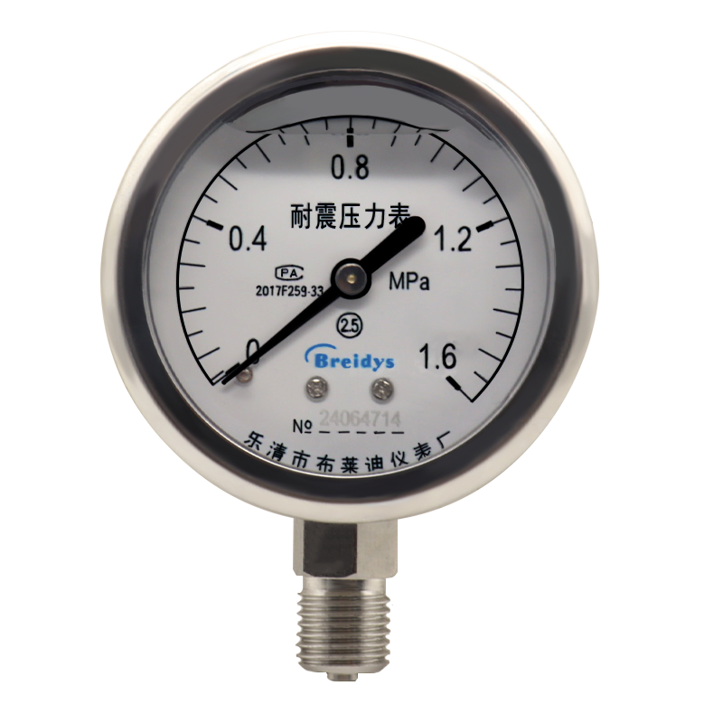 shock-proof pressure gauge — PVPeW 2026