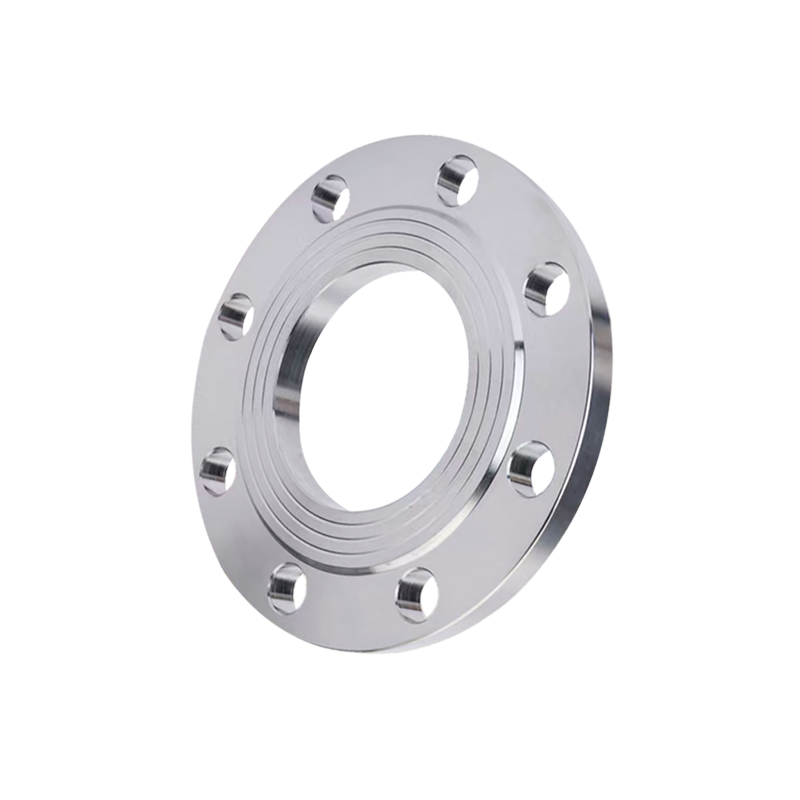 304 Stainless Steel Flange — PVPeW 2026