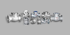 Check Valve Series — PVPeW 2026