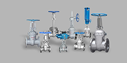Gate Valve Series — PVPeW 2026