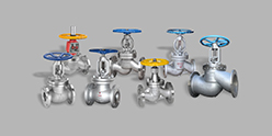 Globe Valve Series — PVPeW 2026