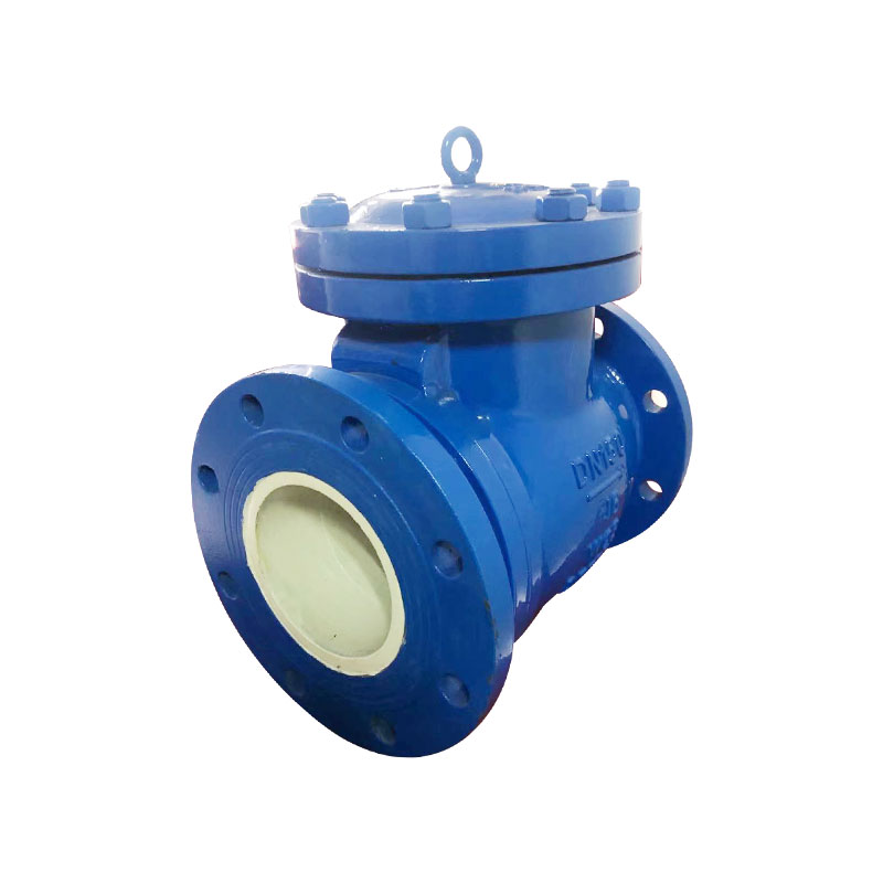 WCB Ceramic Check Valve — PVPeW 2026