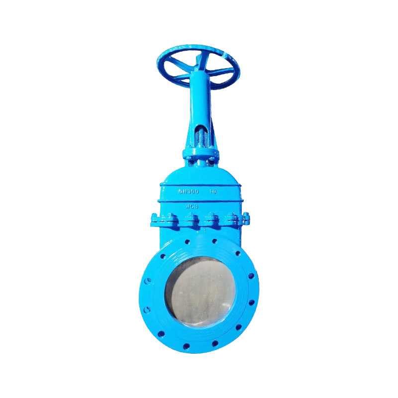 WCB Manual Slab Gate Valve — PVPeW 2026