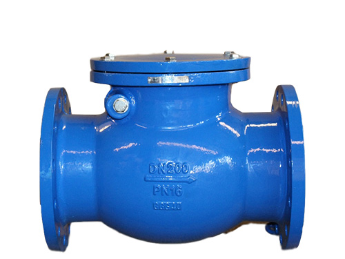 swing check valve — PVPeW 2026