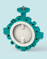 Fluorine-coated flanged butterfly valve with protruding ears — PVPeW 2026