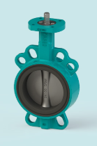 Lapped soft-seal butterfly valve — PVPeW 2026