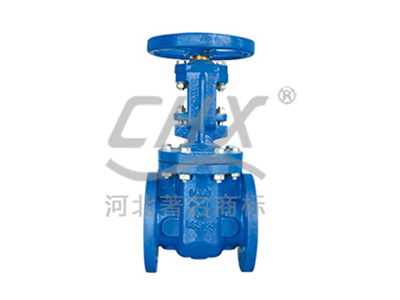 Outside Screw & Yoke Gate Valve (OS&Y Gate Valve) — PVPeW 2026