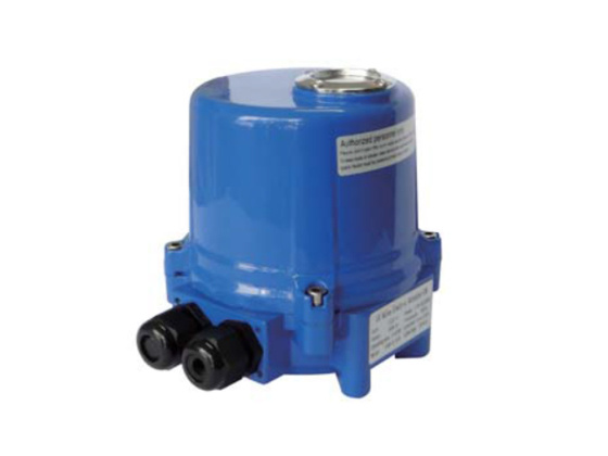 electric actuator — PVPeW 2026
