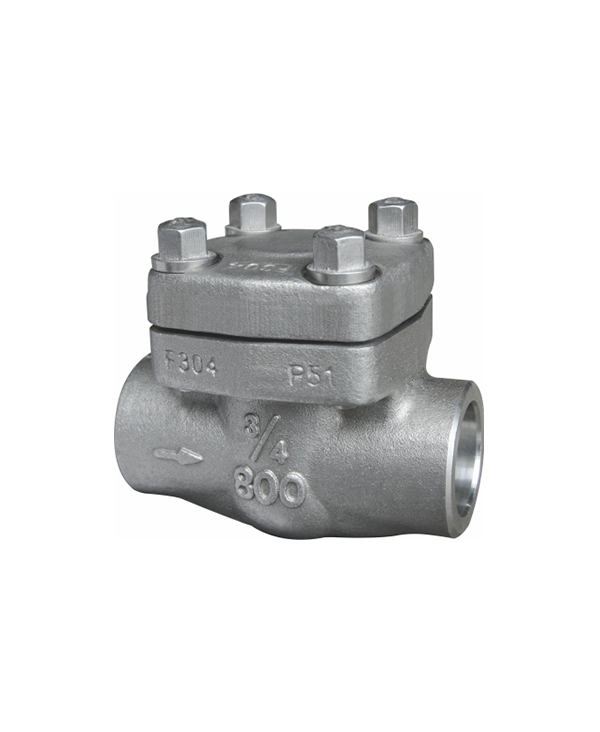 Forged steel welded lift check valve — PVPeW 2026