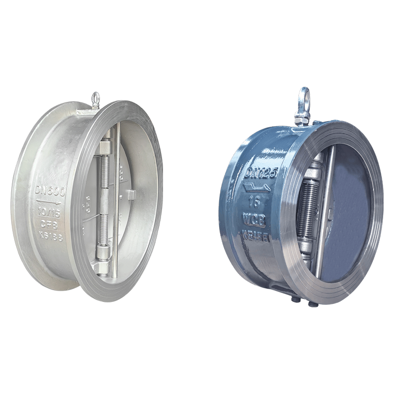 H76 Series Check Valve — PVPeW 2026