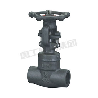 Forged steel gate valve — PVPeW 2026