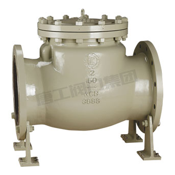 swing check valve — PVPeW 2026