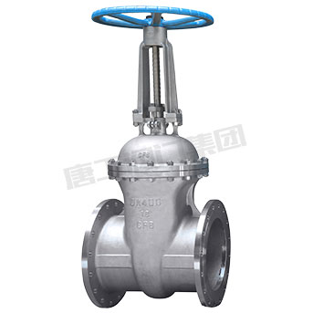 flanged gate valve — PVPeW 2026
