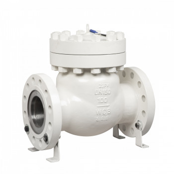 National standard high-pressure swing-type flanged check valve — PVPeW 2026