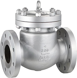 check valve — PVPeW 2026