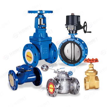 Water Valve Series — PVPeW 2026