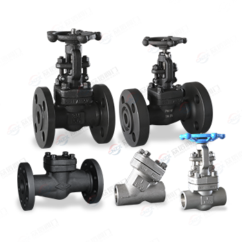 Forged steel valve series — PVPeW 2026