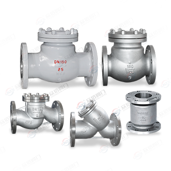 Check Valve/Filter Series — PVPeW 2026