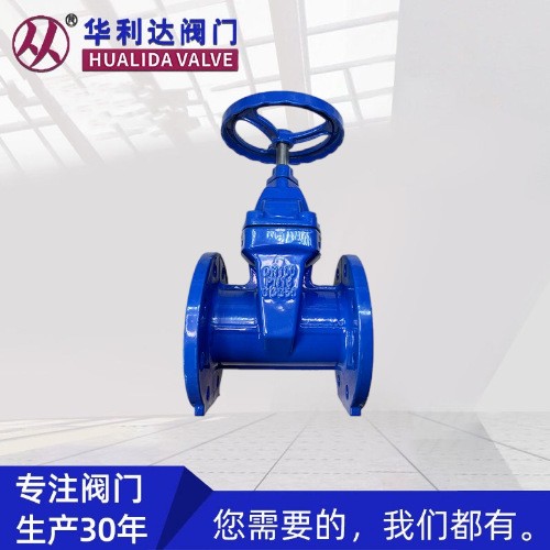 flanged gate valve — PVPeW 2026
