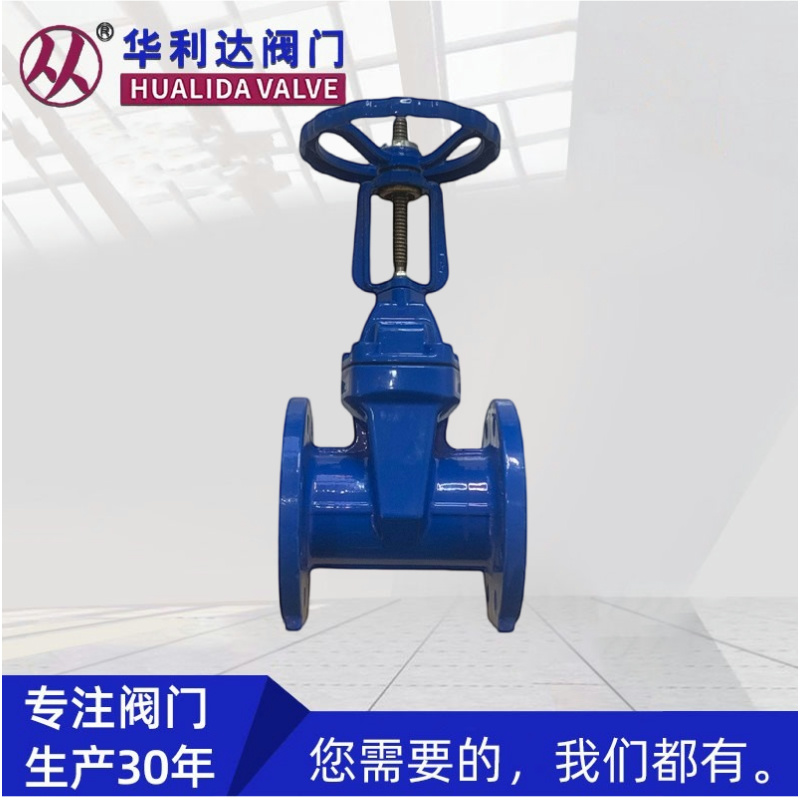flanged gate valve — PVPeW 2026