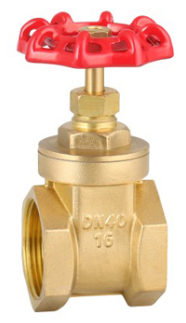 gate valve — PVPeW 2026