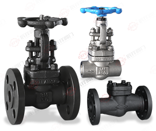 Forged steel valve series — PVPeW 2026
