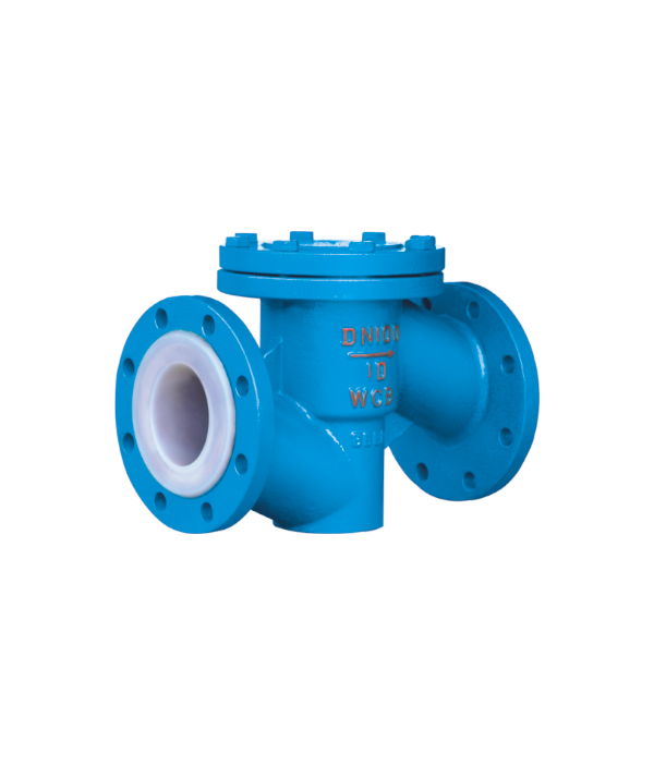 Fluorine-coated check valve — PVPeW 2026
