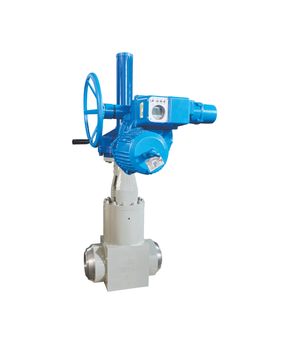 Forged steel power station valve — PVPeW 2026