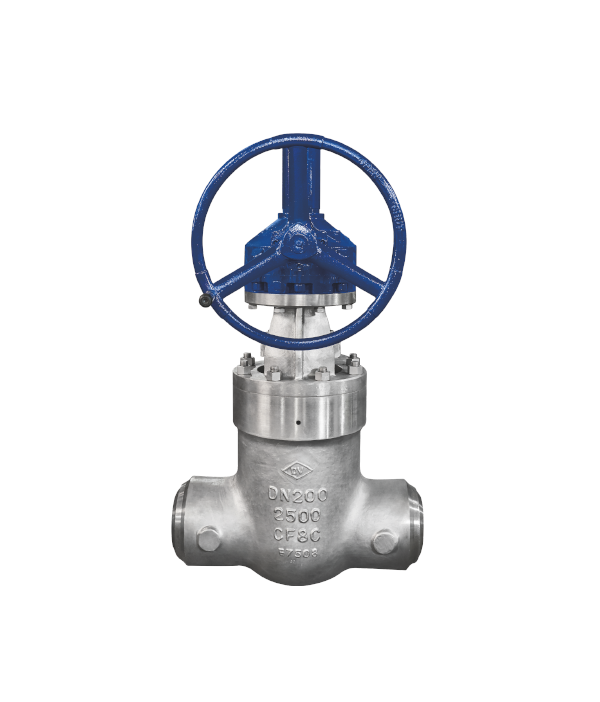 Stainless steel hydrogenation valve — PVPeW 2026