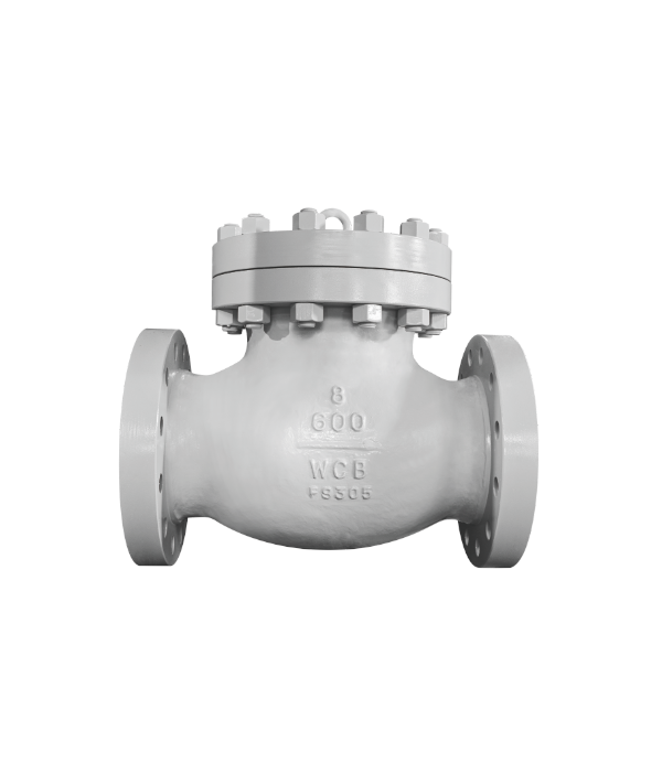 American Standard cast steel check valve — PVPeW 2026