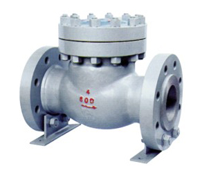 Forged steel check valve — PVPeW 2026