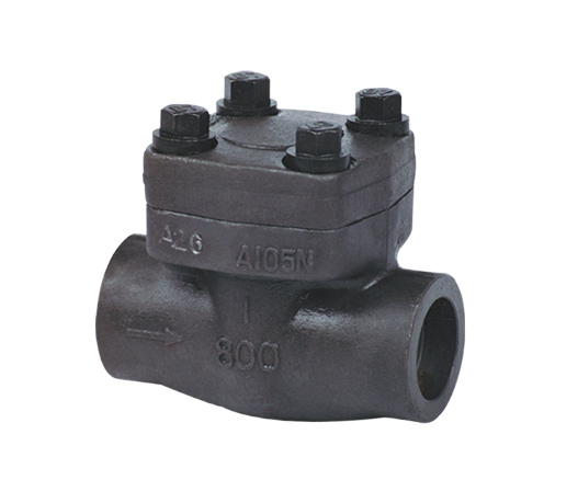 Forged steel check valve — PVPeW 2026