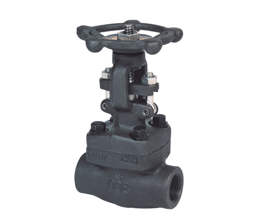 Forged steel gate valve — PVPeW 2026