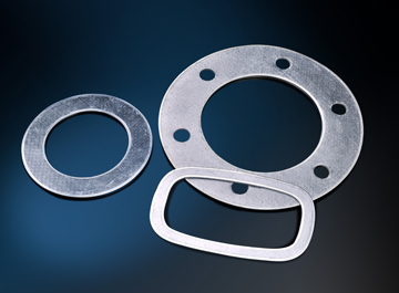 Flexible graphite composite gasket — PVPeW 2026