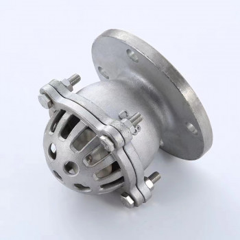 Flanged Foot Valve — PVPeW 2026