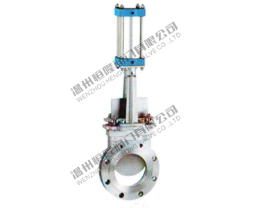 Pneumatic gate valve — PVPeW 2026