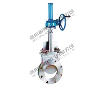Fan-shaped gear-driven gate valve — PVPeW 2026